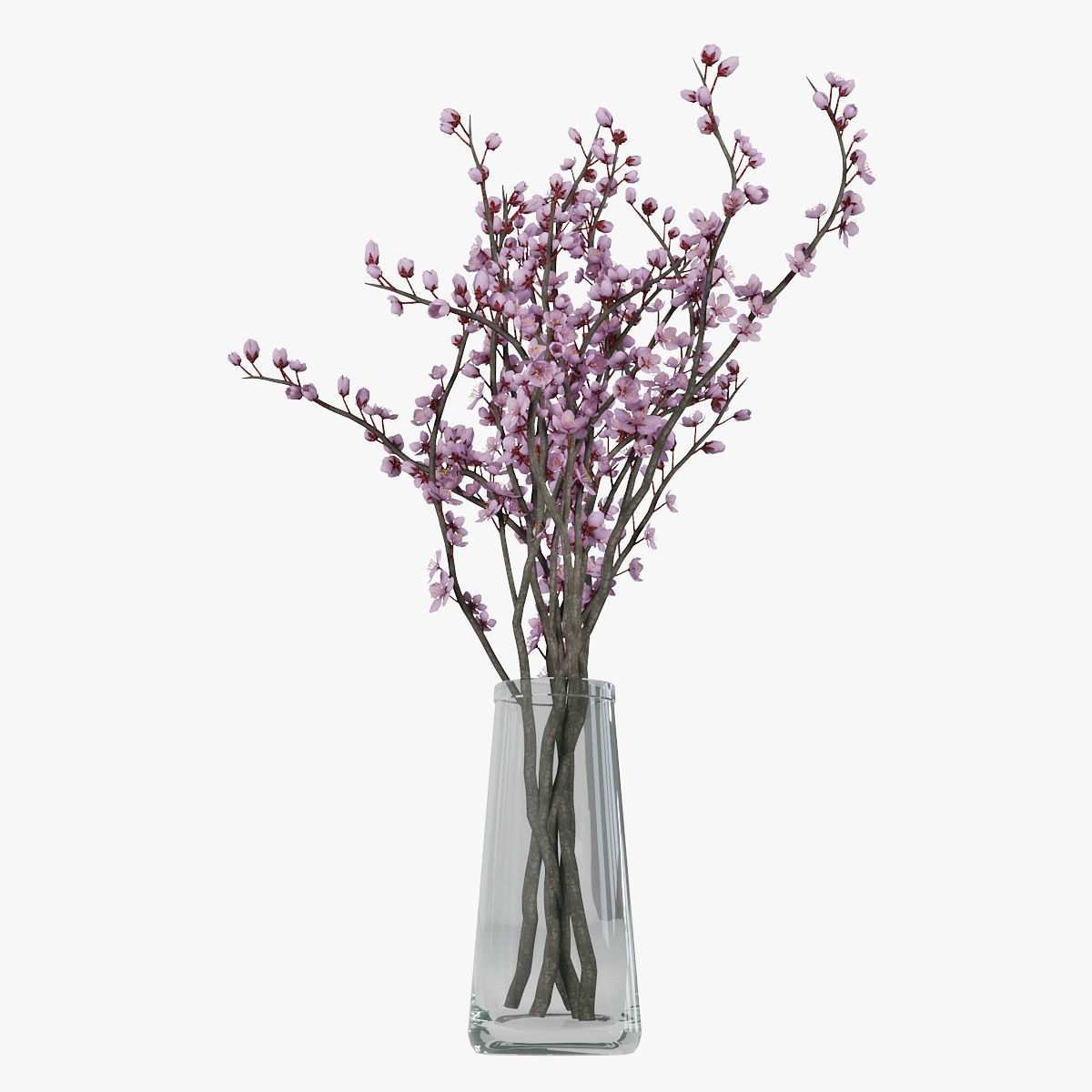 Plum blossom 3D model_7
