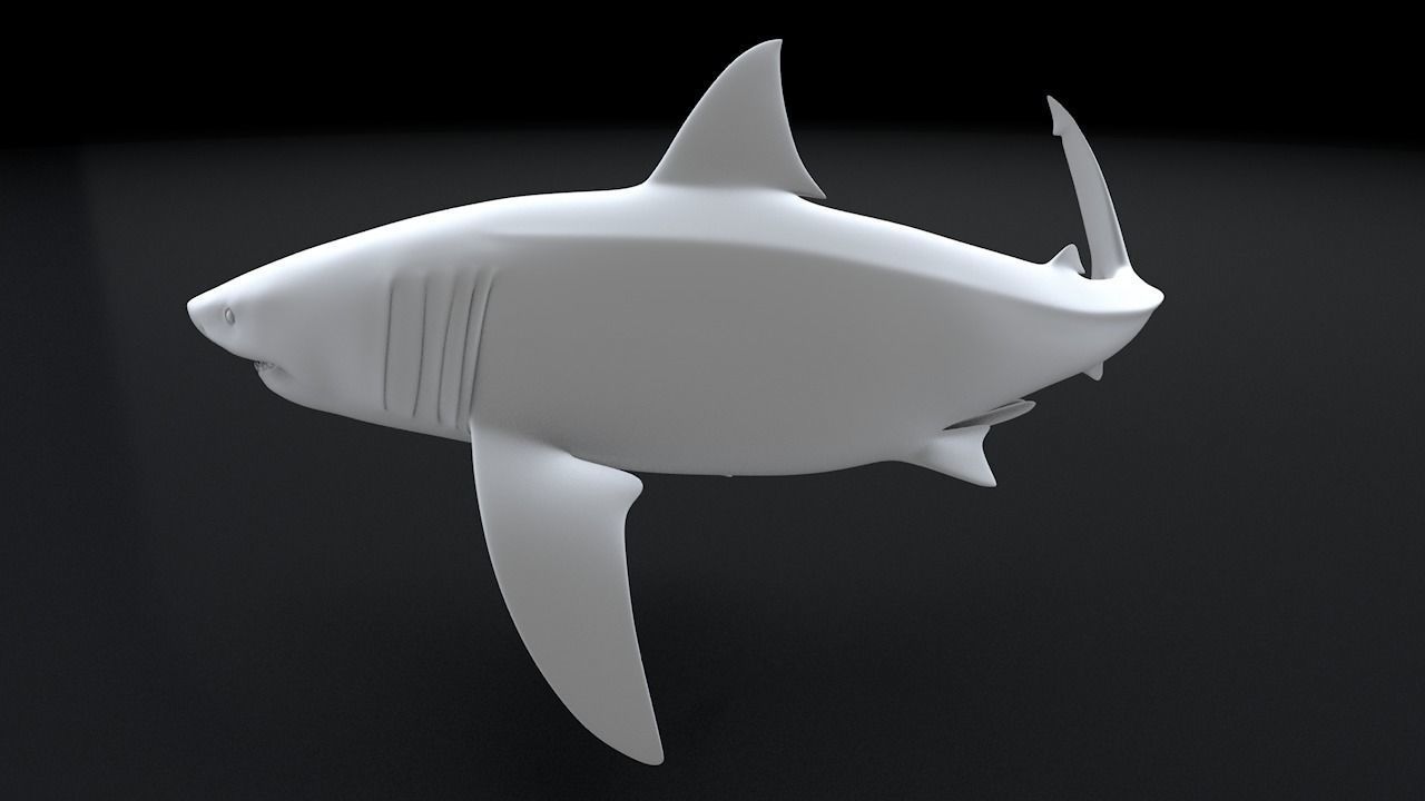 Great White Turn 3D Printable Model