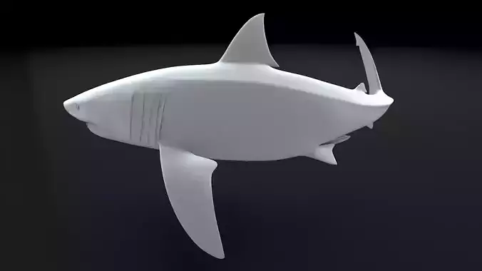 Great White Turn 3D Printable Model 3D print model