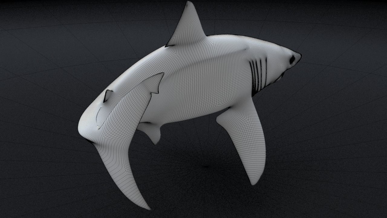 Great White Turn 3D Printable Model 3D print model_23