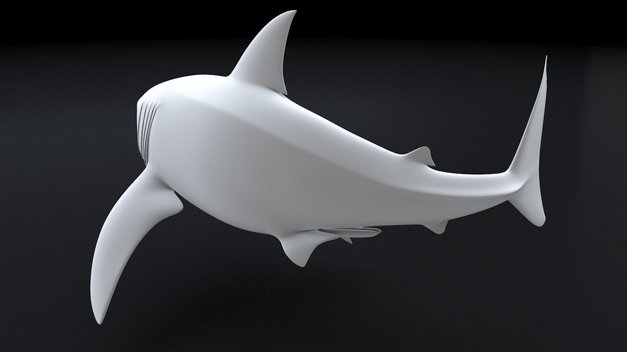Great White Turn 3D Printable Model 3D print model_16
