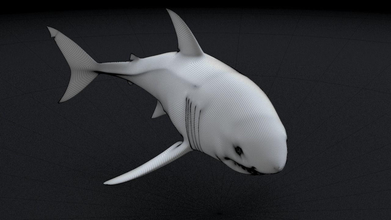 Great White Turn 3D Printable Model 3D print model_20