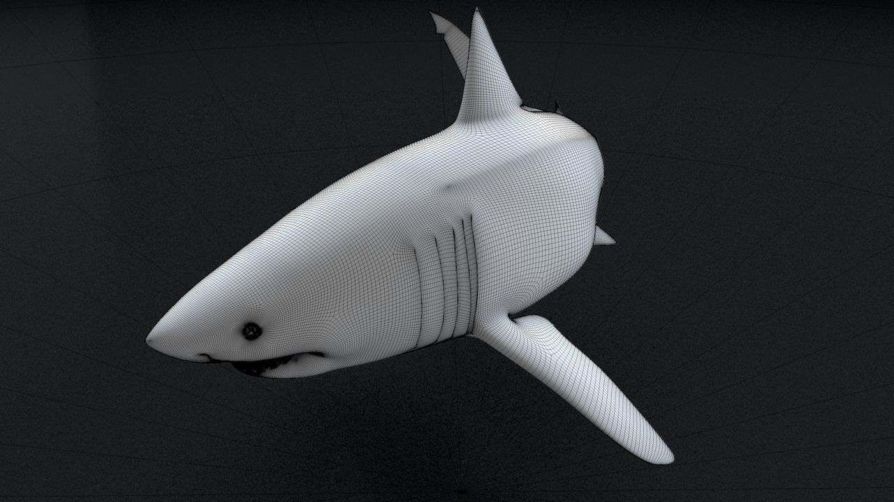 Great White Turn 3D Printable Model 3D print model_19