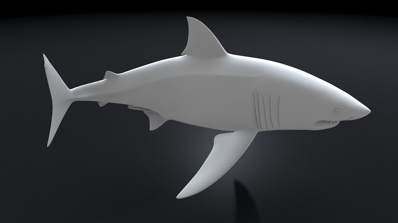 Great White Turn 3D Printable Model 3D print model_13