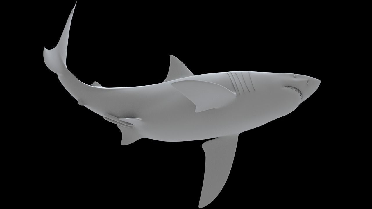 Great White Turn 3D Printable Model 3D print model_14