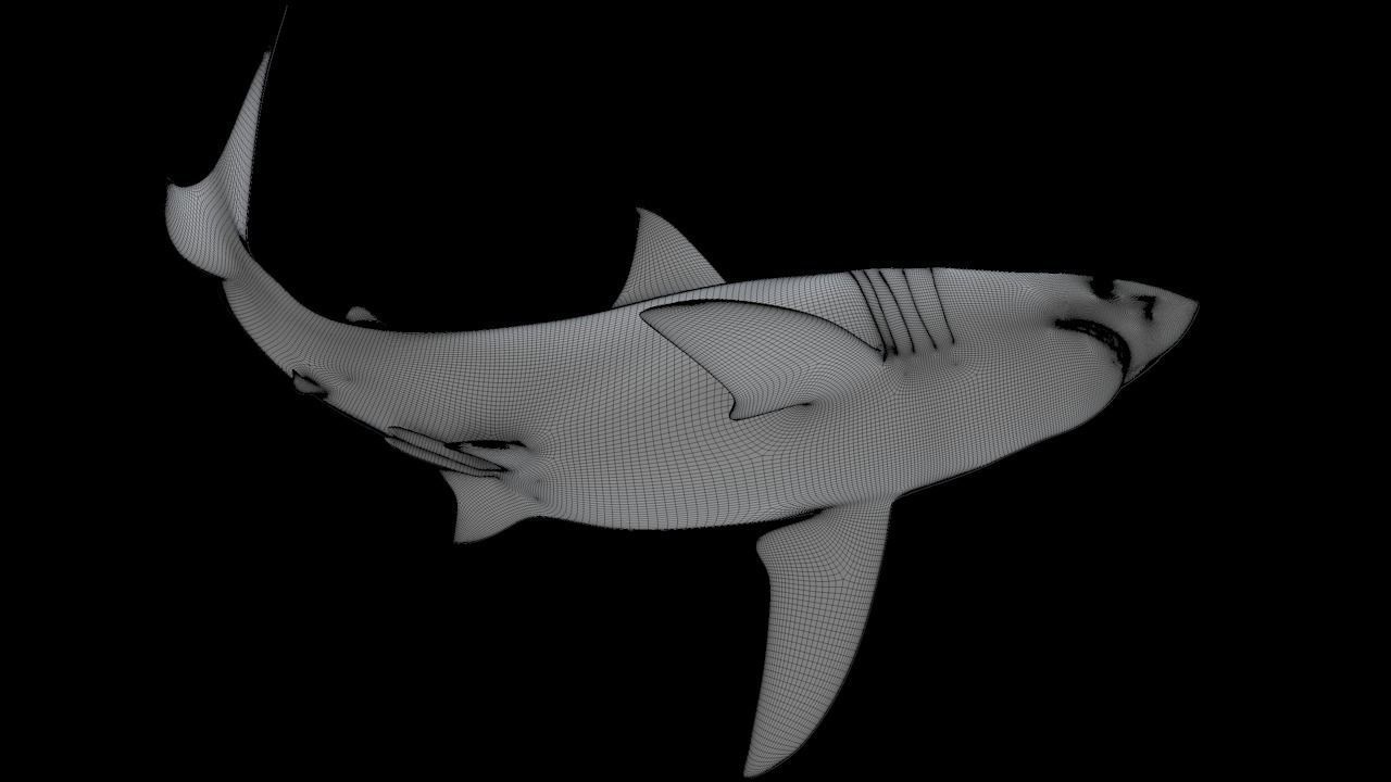 Great White Turn 3D Printable Model 3D print model_22