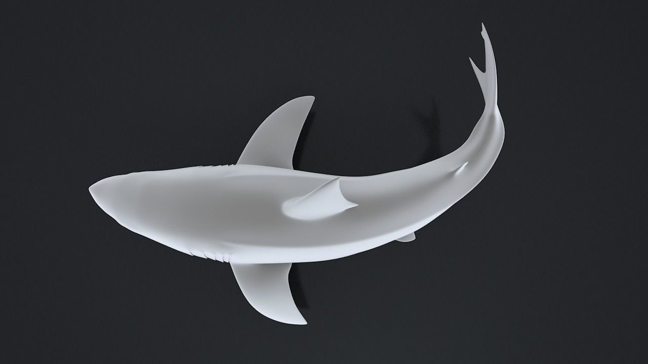 Great White Turn 3D Printable Model 3D print model_17