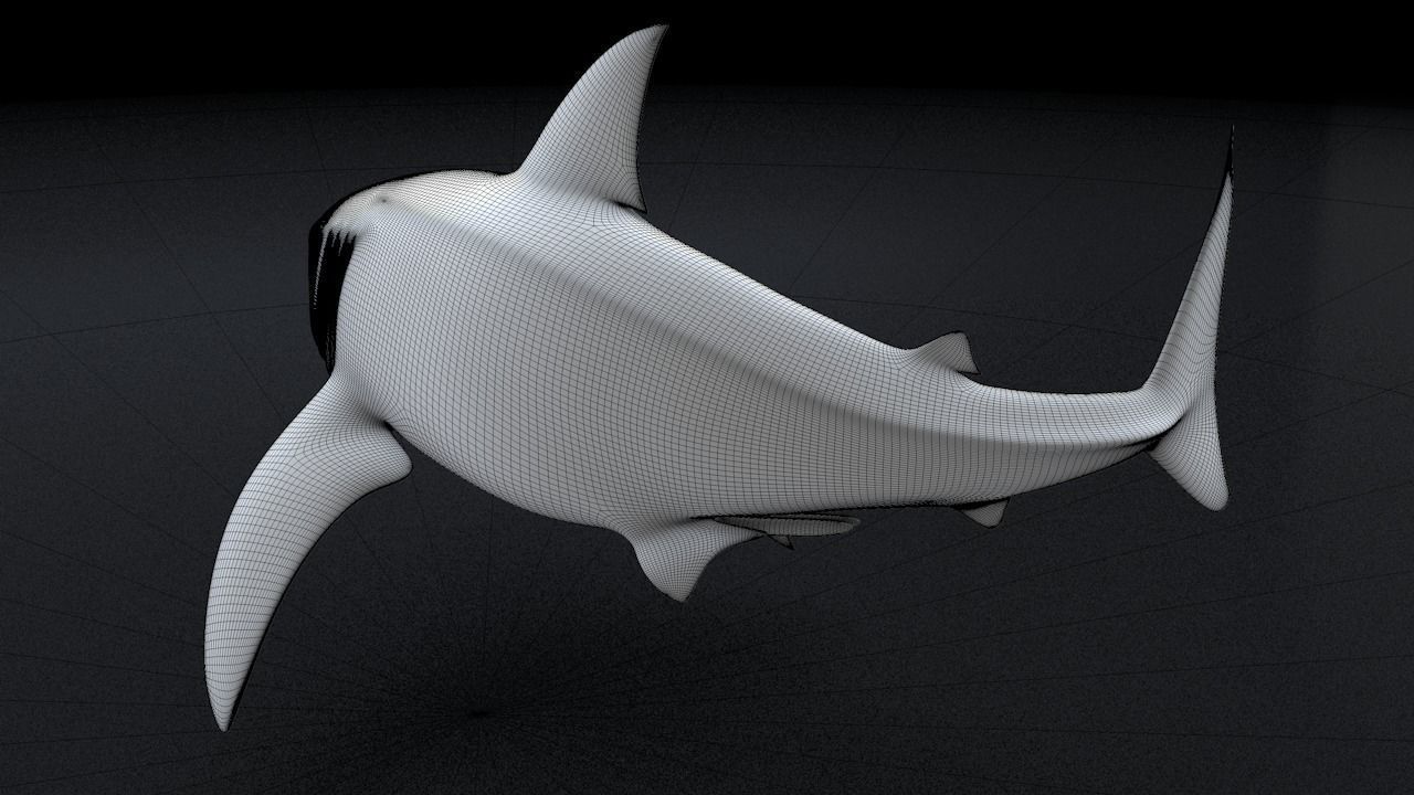 Great White Turn 3D Printable Model 3D print model_24