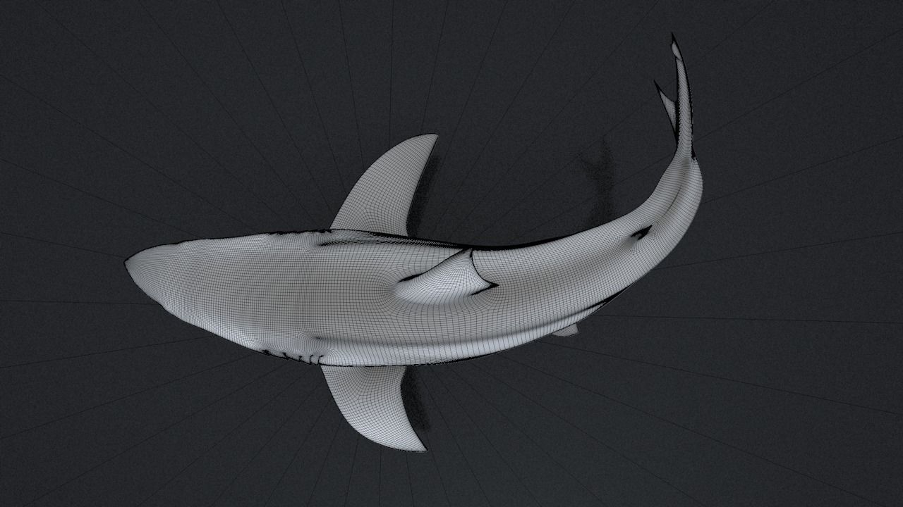 Great White Turn 3D Printable Model 3D print model_26