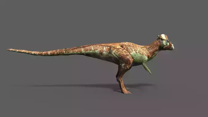 pachycephalosaurus dinosaur 3D model