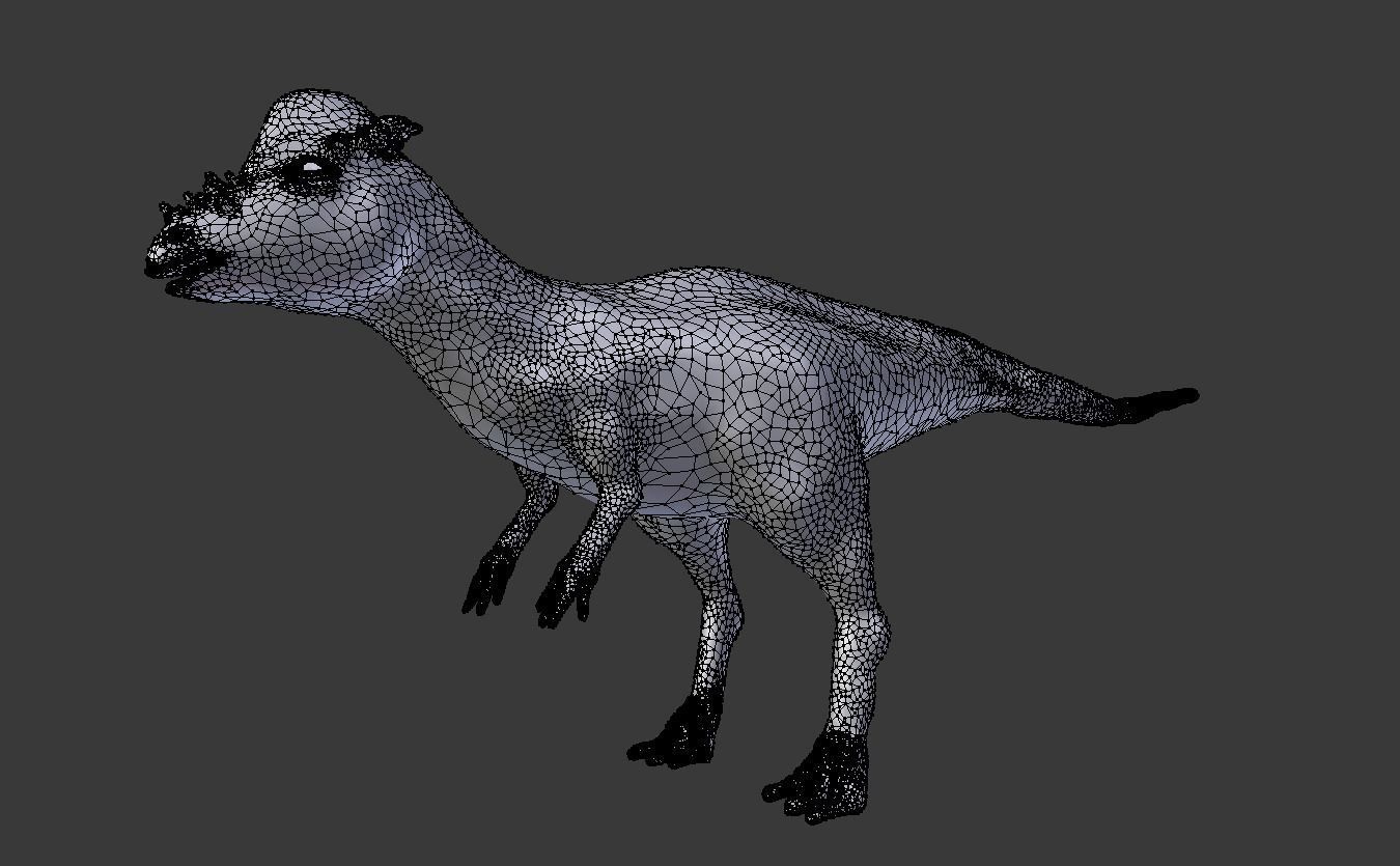 pachycephalosaurus dinosaur 3D model_11