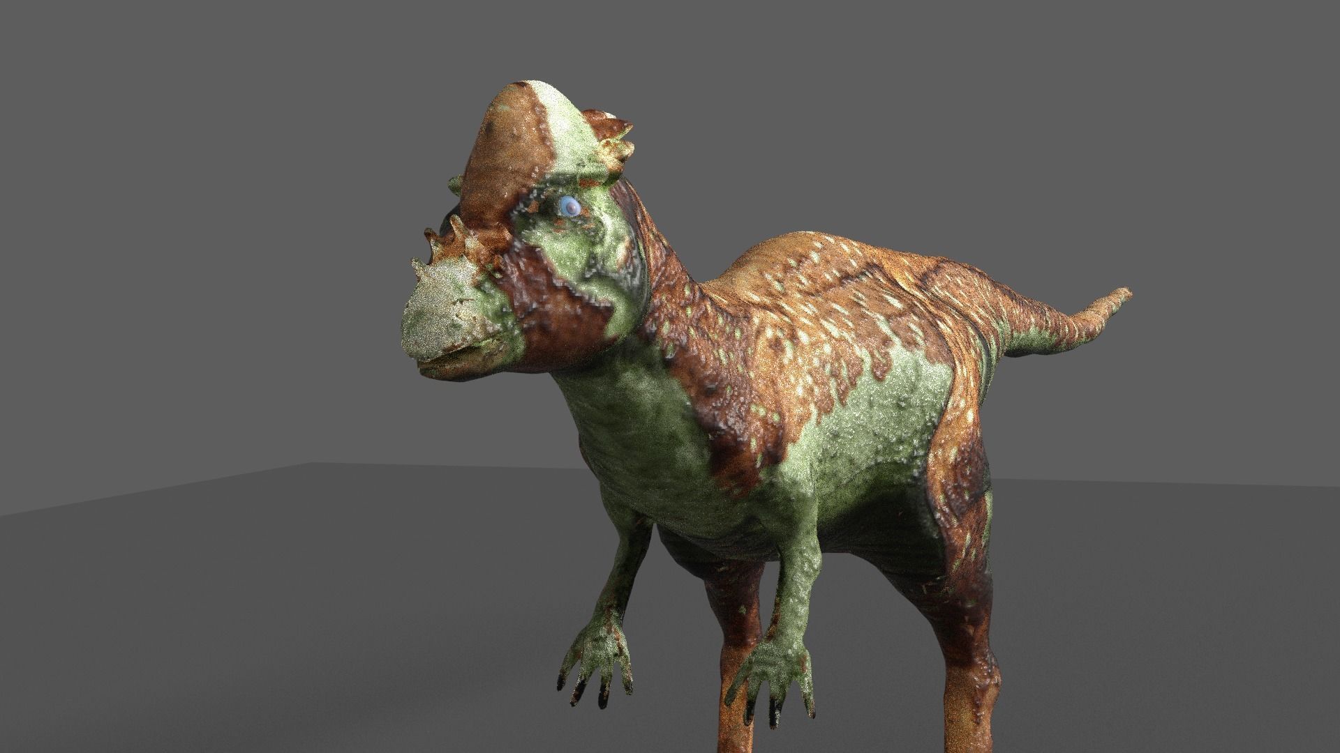 pachycephalosaurus dinosaur 3D model_12