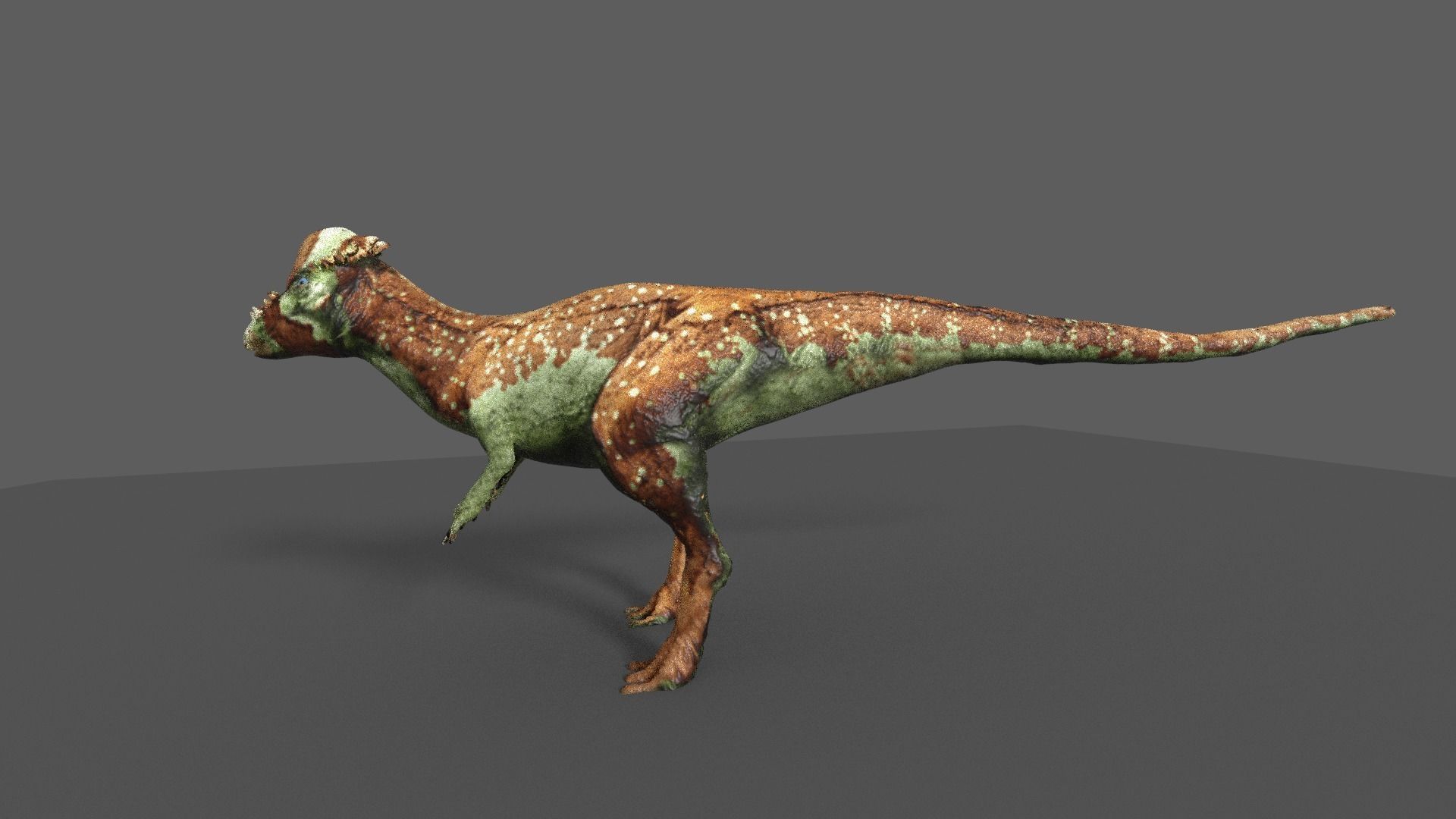 pachycephalosaurus dinosaur 3D model_7