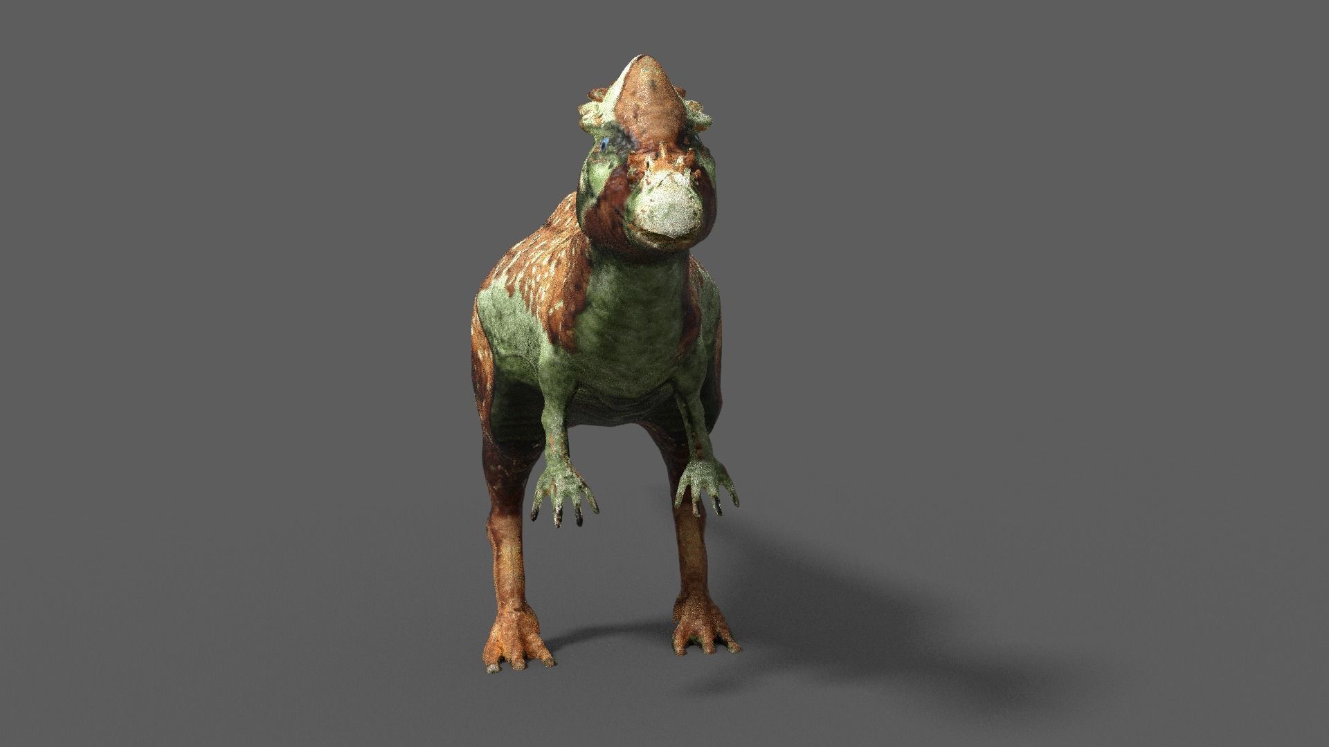 pachycephalosaurus dinosaur 3D model_10
