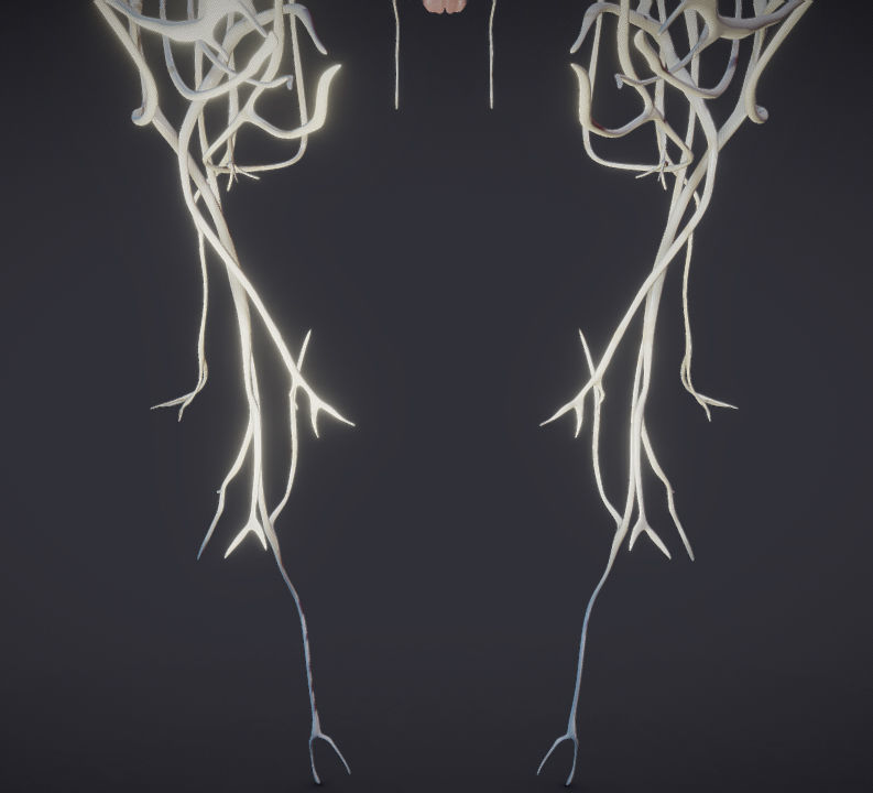 Cranial Nerves and Brain Stem Low-poly 3D model_7