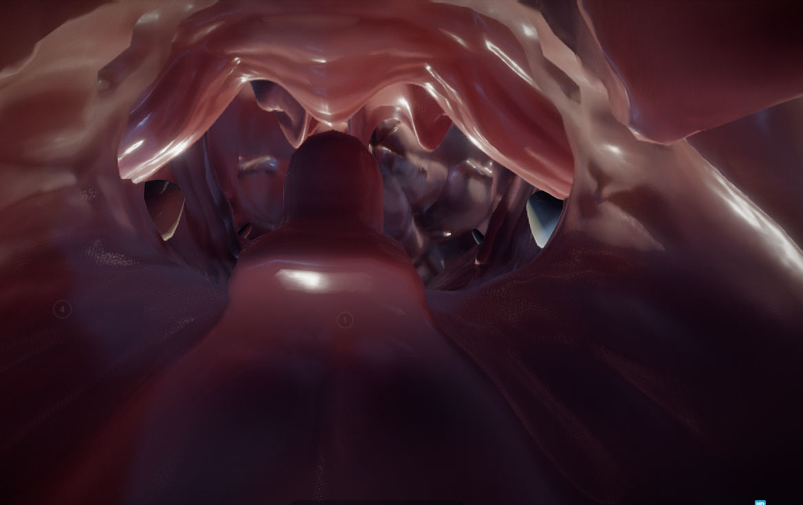 Cranial Nerves and Brain Stem Low-poly 3D model_14