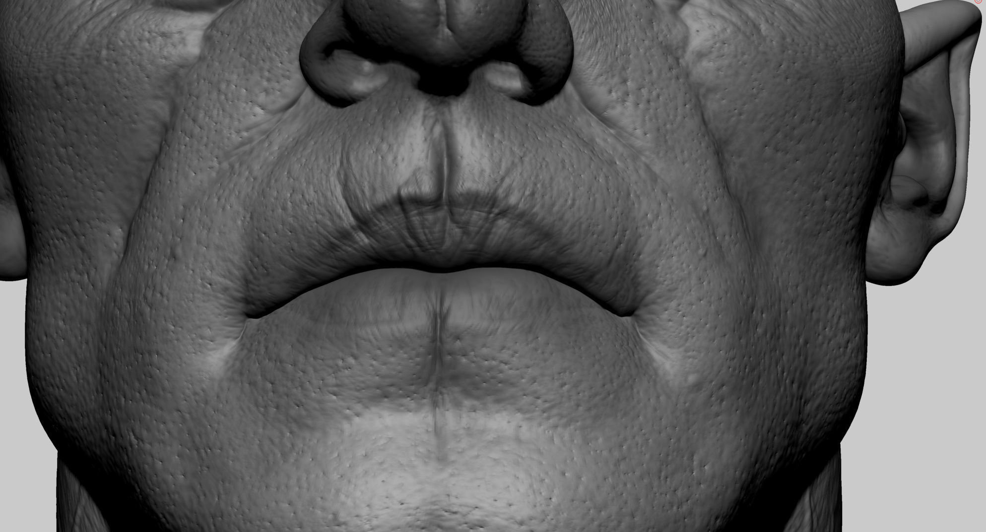 Creature Head v2 3D model_9