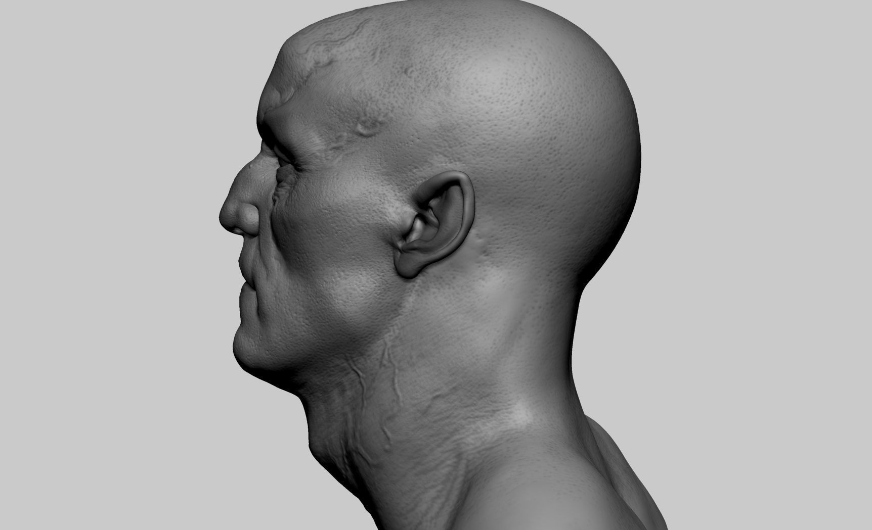 Creature Head v2 3D model_3