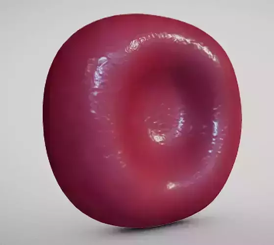 Normal Red blood Cell Low-poly 3D model