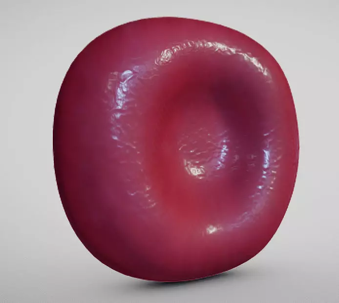 Normal Red blood Cell Low-poly 3D model_0