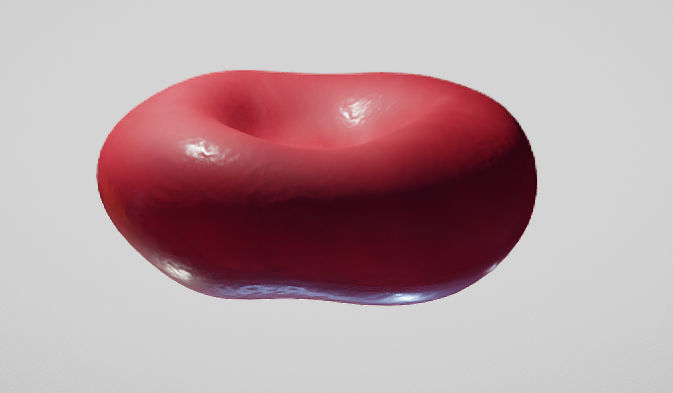 Normal Red blood Cell Low-poly 3D model_4