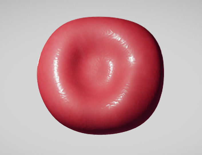 Normal Red blood Cell Low-poly 3D model_3