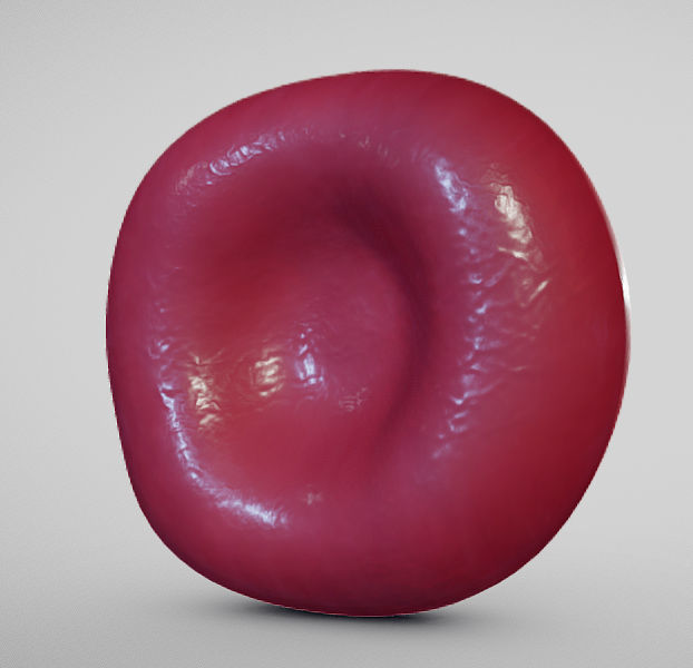Normal Red blood Cell Low-poly 3D model_1