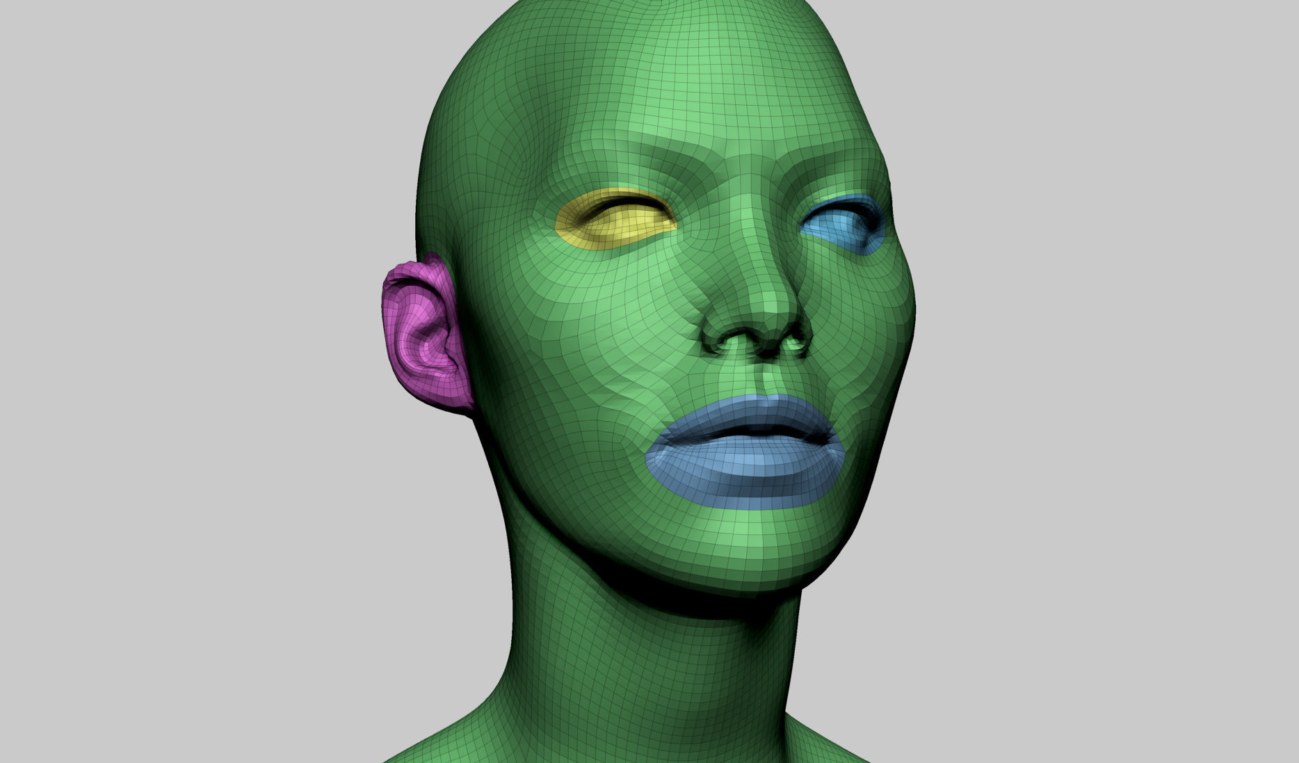 Base Female Head v6 3D model_7
