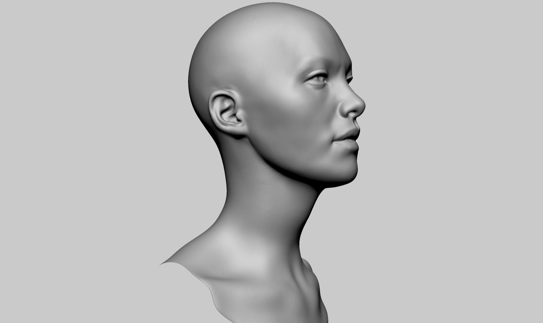 Base Female Head v6 3D model_1