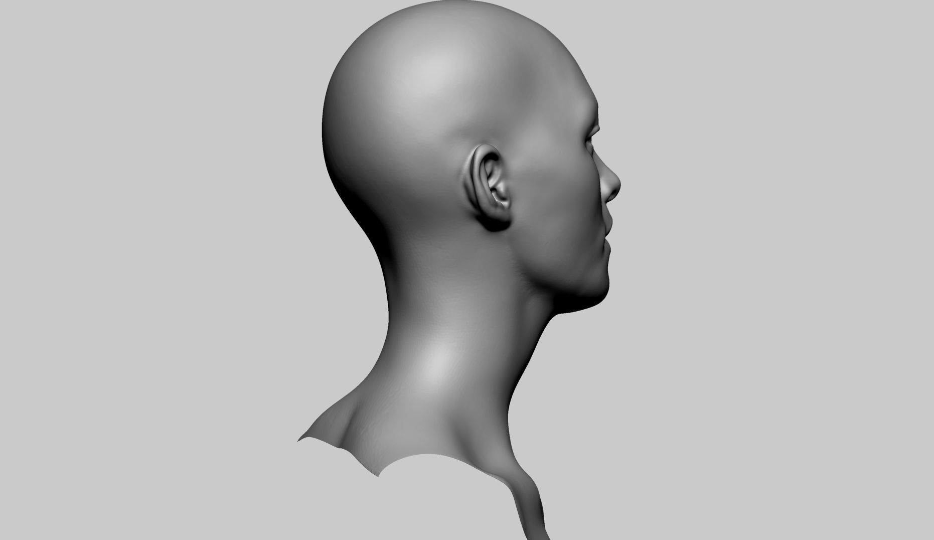Base Female Head v6 3D model_2