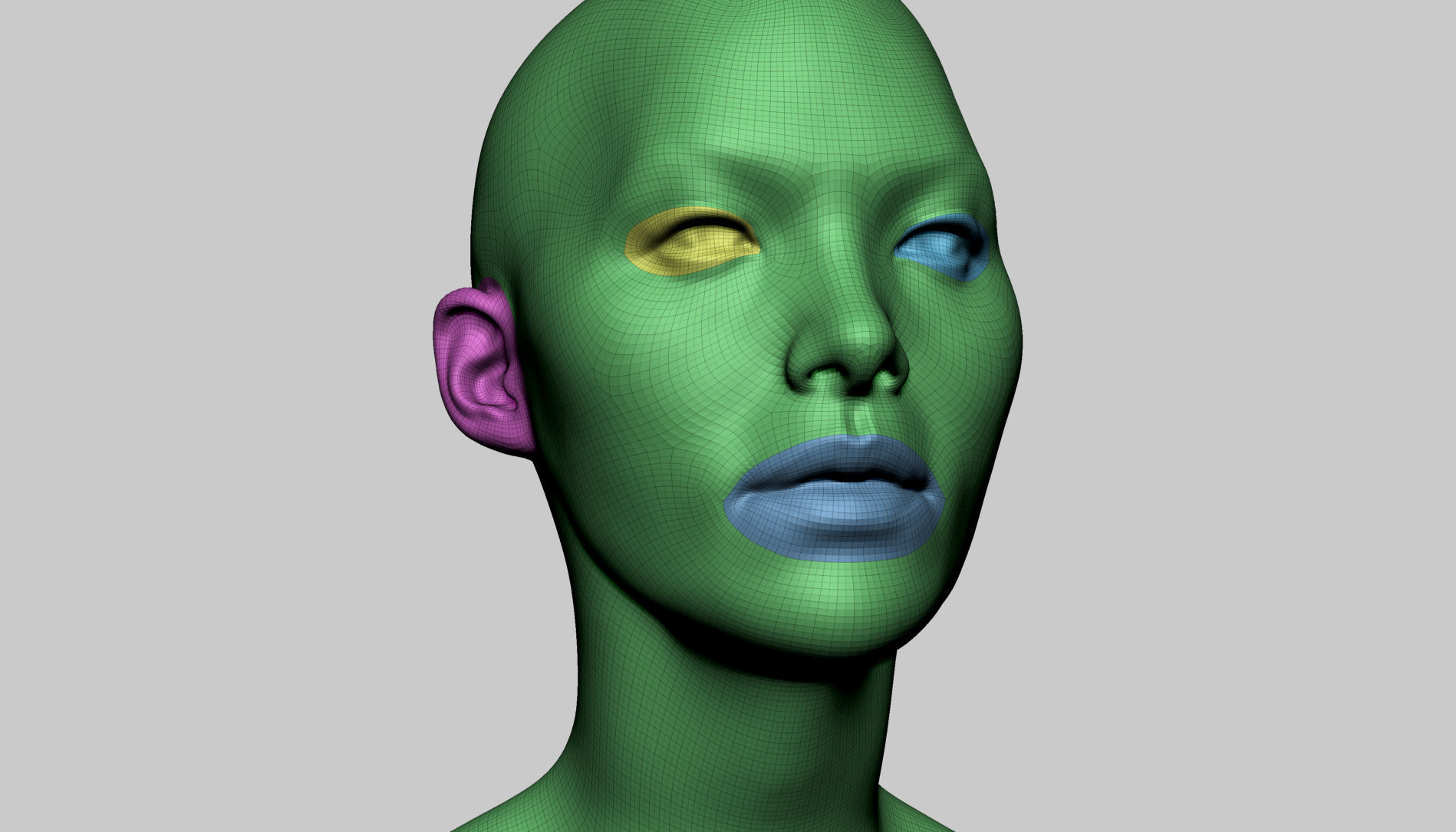 Base Female Head v6 3D model_8