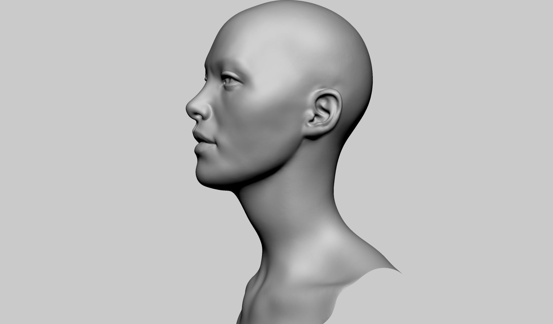 Base Female Head v6 3D model_5