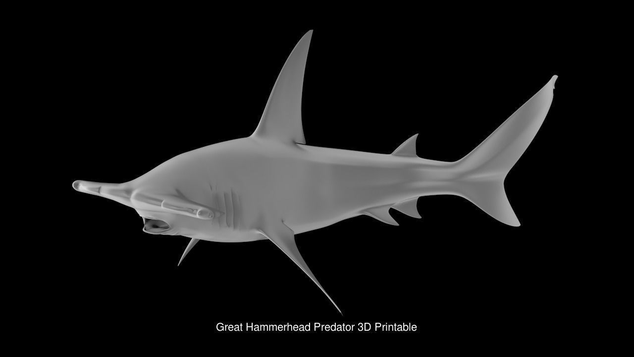 Sea Life 3D Printable Collection _10