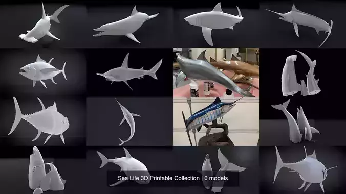 Sea Life 3D Printable Collection 