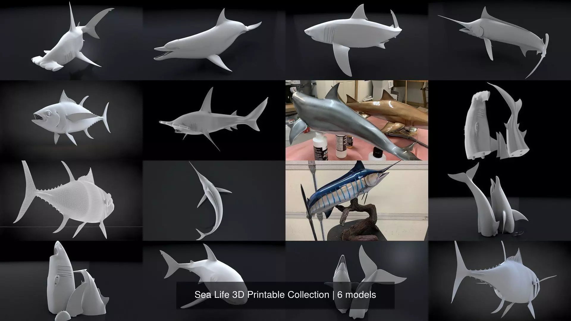 Sea Life 3D Printable Collection _0
