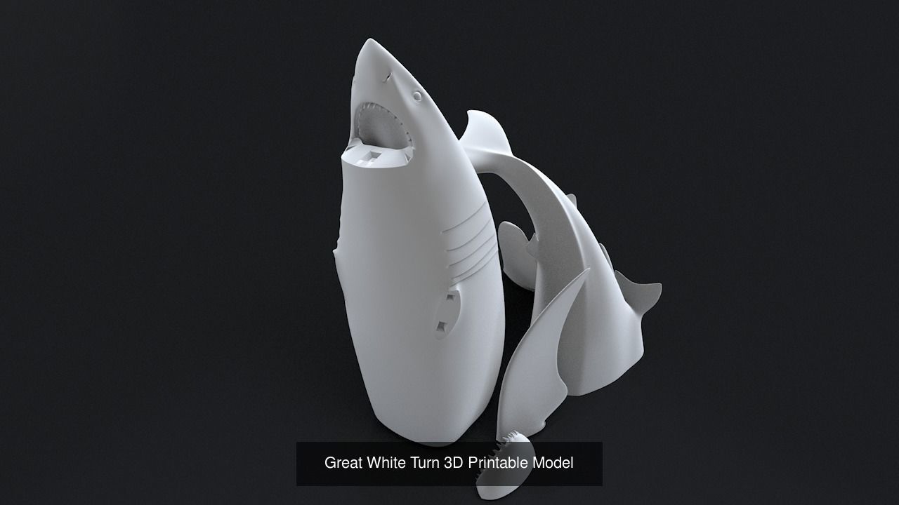 Sea Life 3D Printable Collection _9