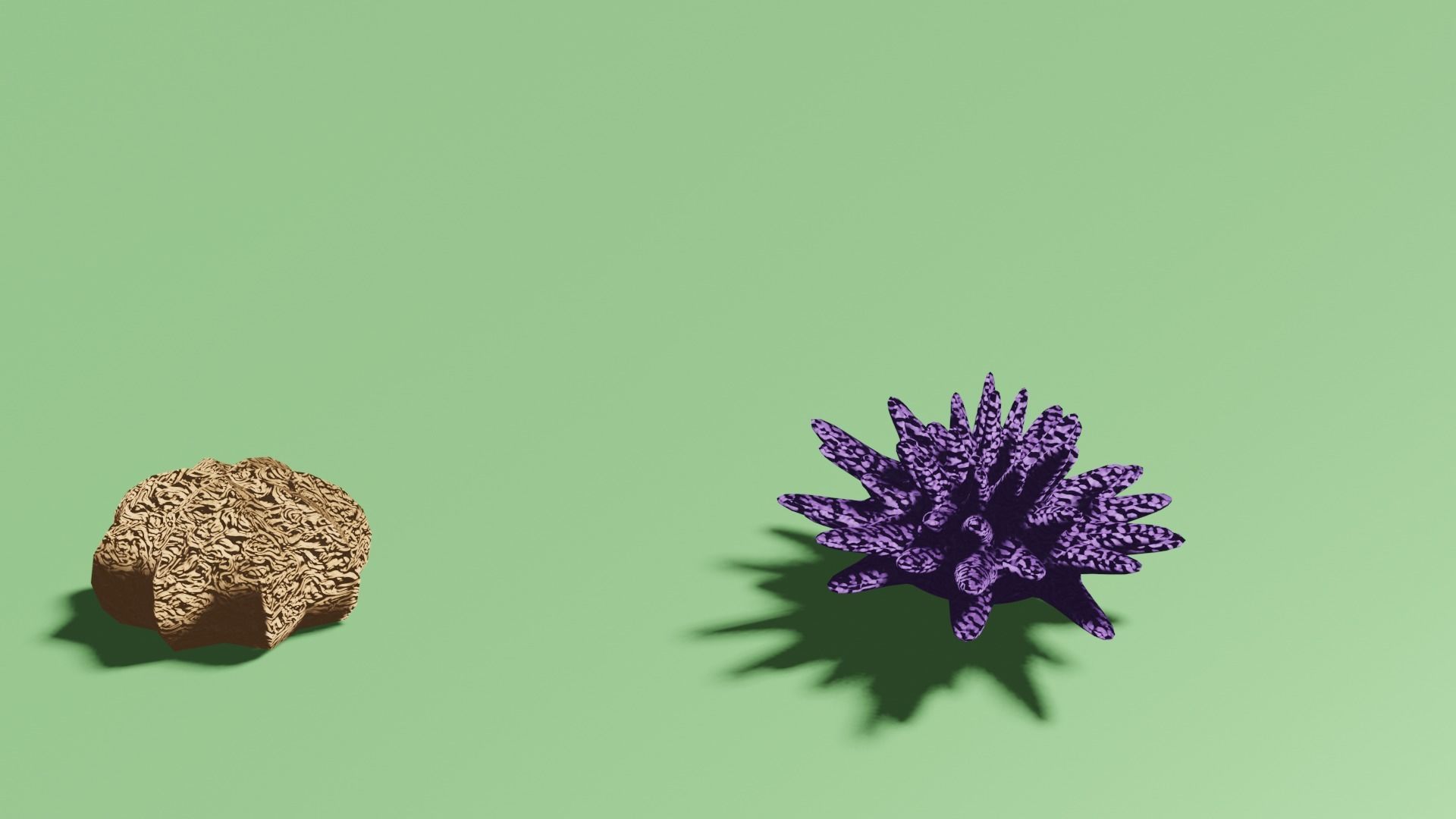 Coral Reef Pack Low-poly 3D model_4