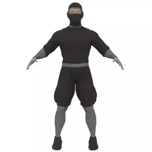 Ninja With Clothes And Rig
