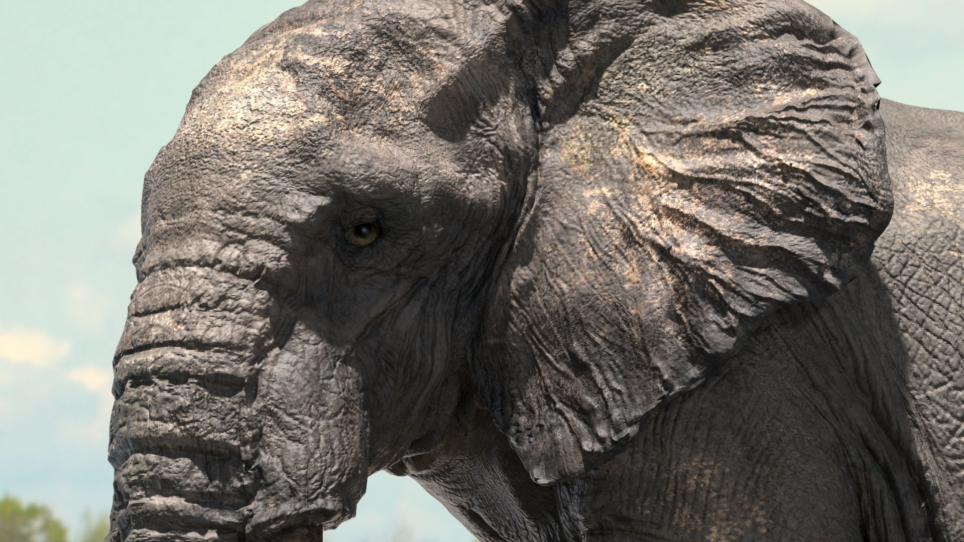African Elephant Rigged model Low-poly 3D model_8