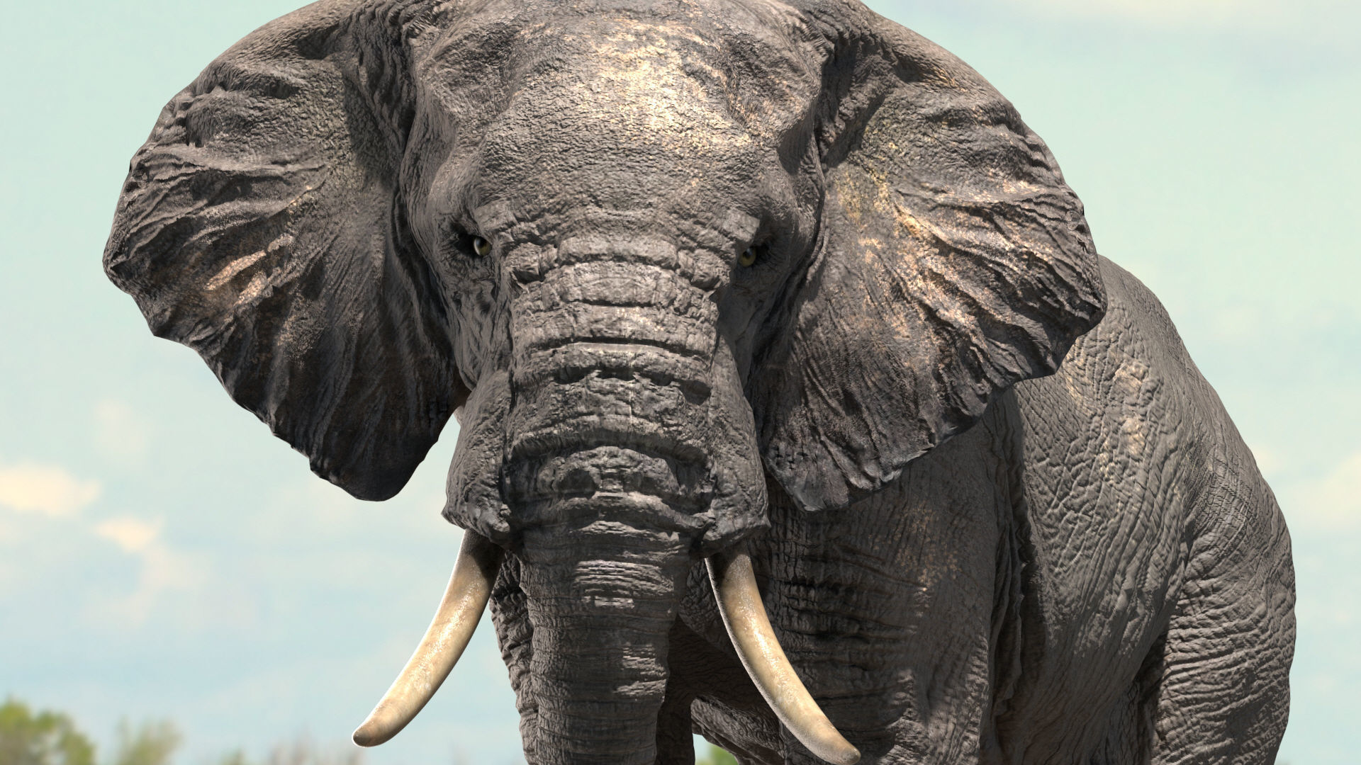 African Elephant Rigged model Low-poly 3D model_1