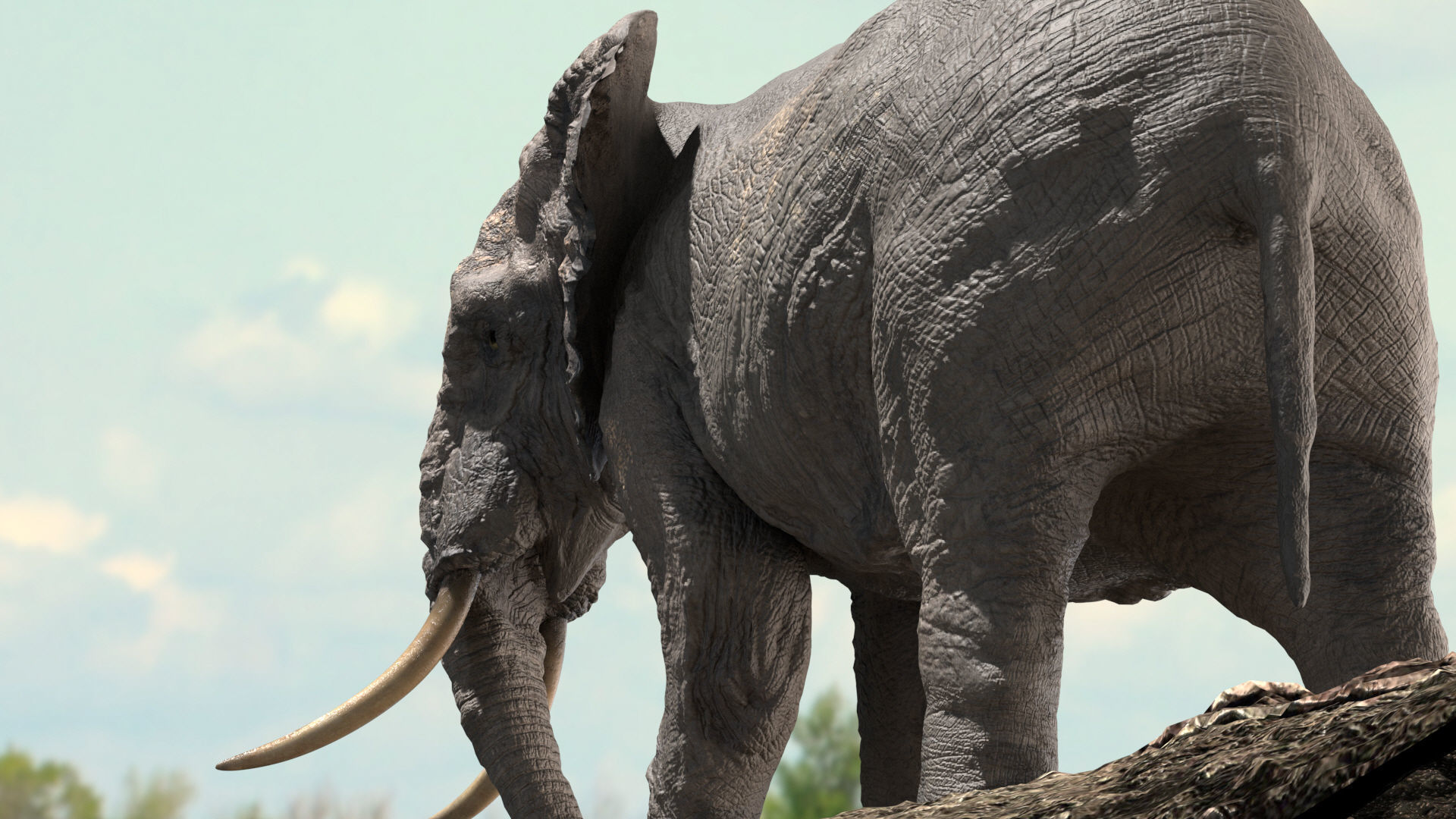 African Elephant Rigged model Low-poly 3D model_11