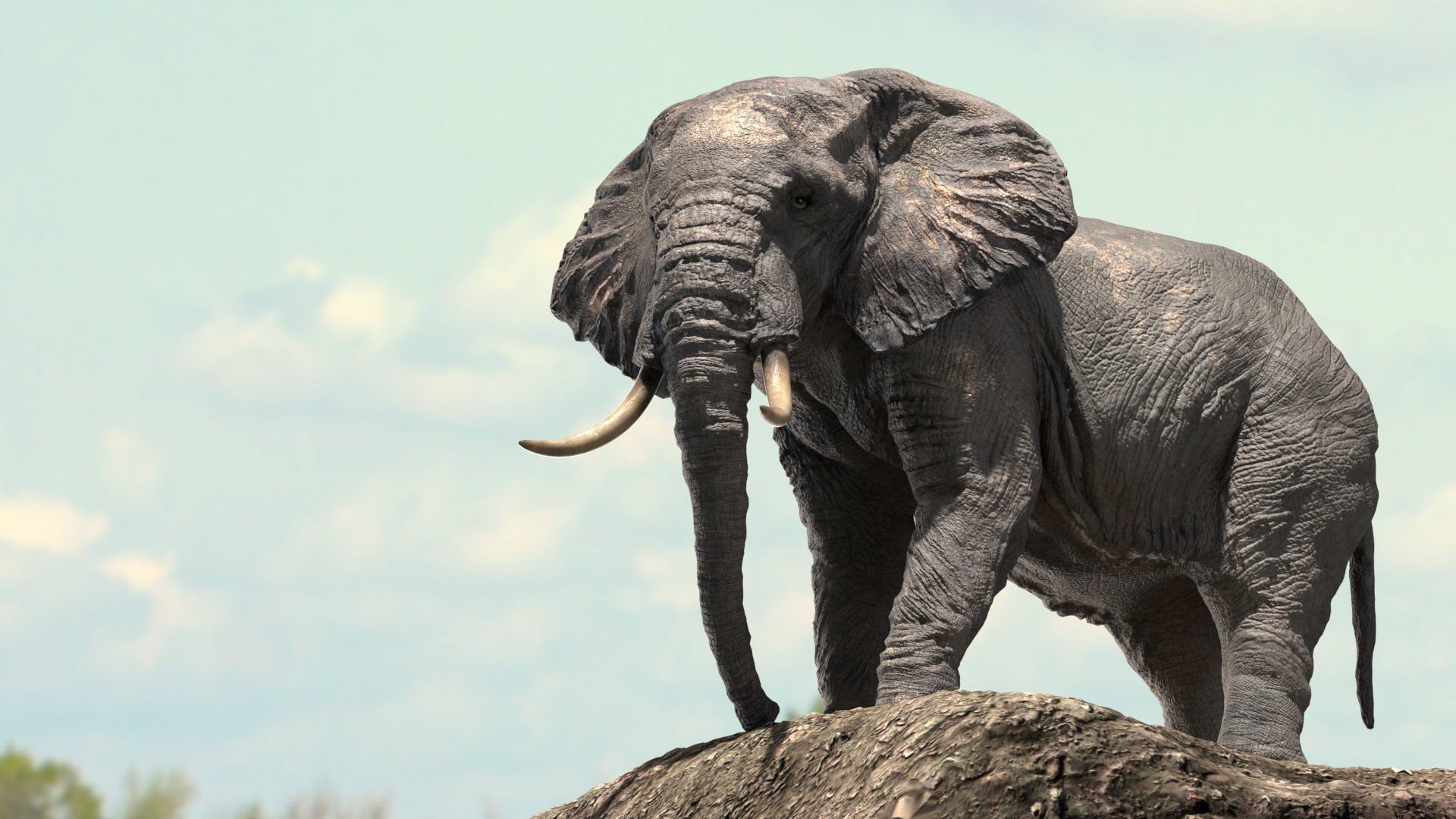 African Elephant Rigged model Low-poly 3D model_4