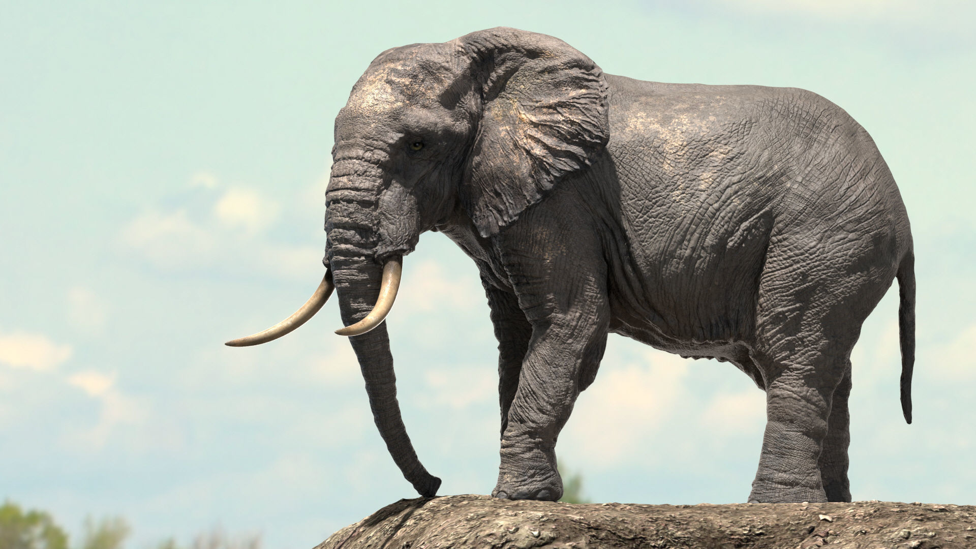 African Elephant Rigged model Low-poly 3D model_3