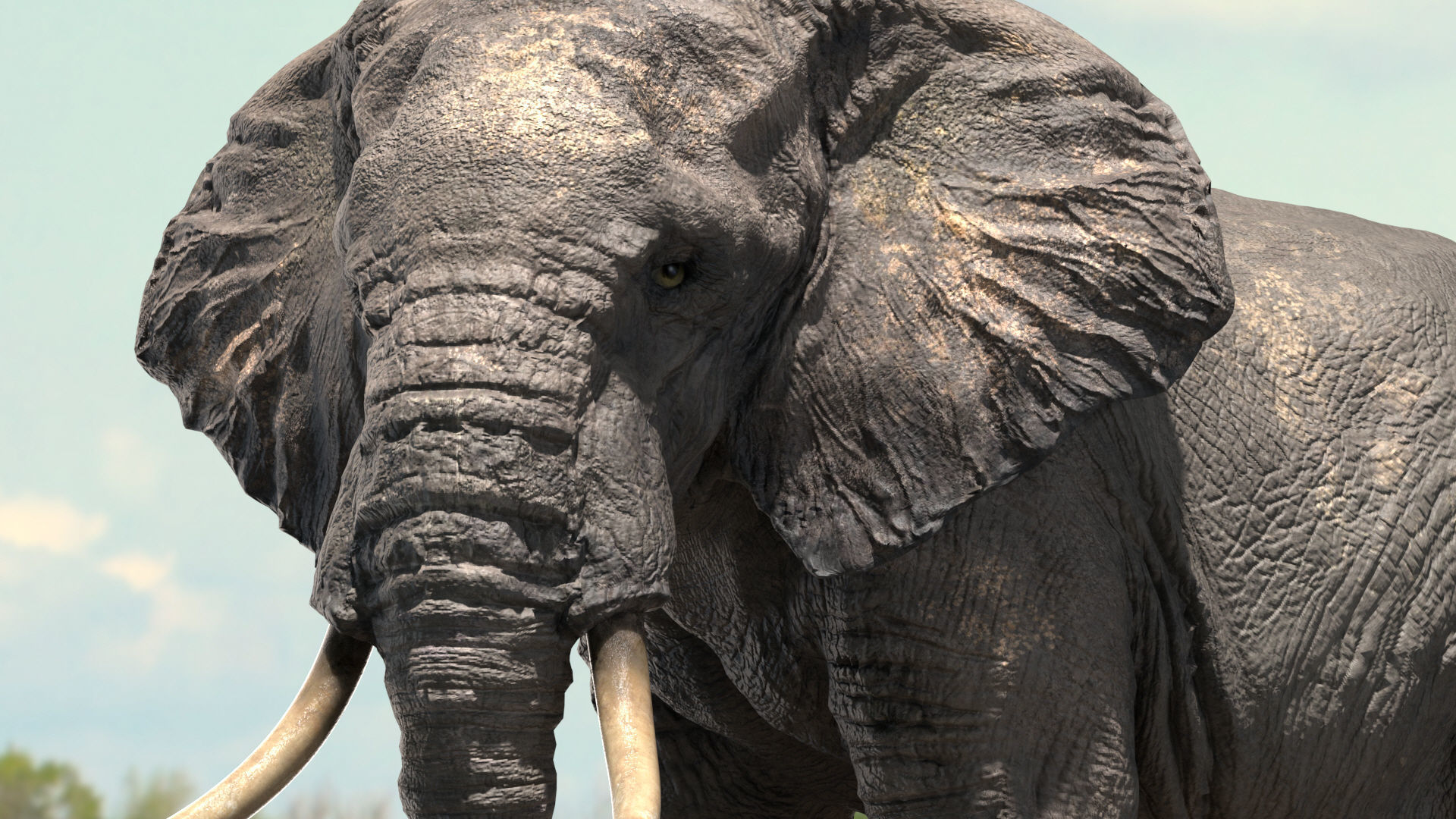 African Elephant Rigged model Low-poly 3D model_2