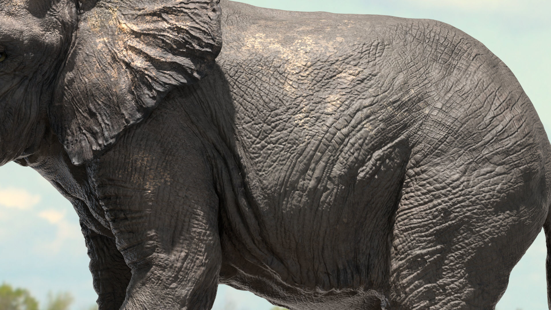 African Elephant Rigged model Low-poly 3D model_9