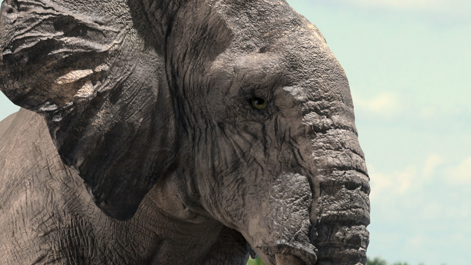 African Elephant Rigged model Low-poly 3D model_7