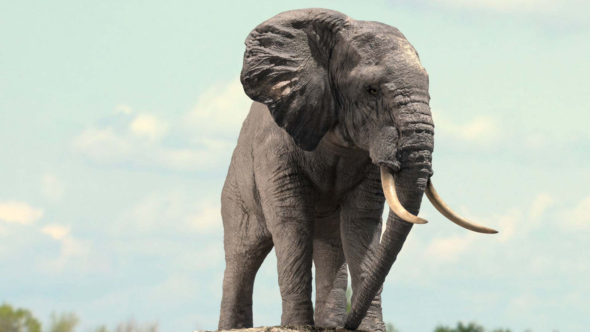 African Elephant Rigged model Low-poly 3D model_6