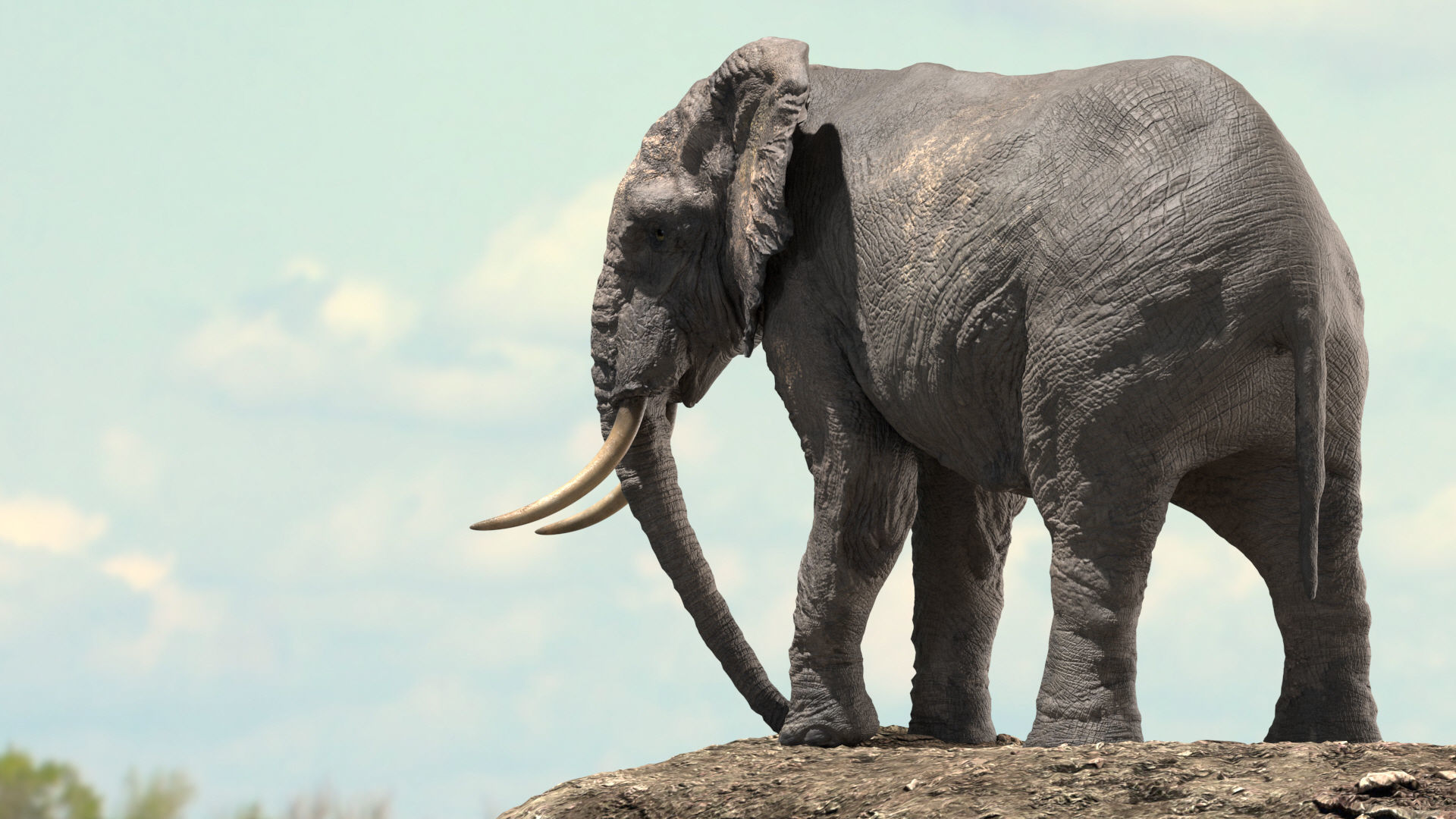African Elephant Rigged model Low-poly 3D model_5