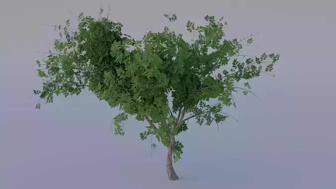 Low poly tree
