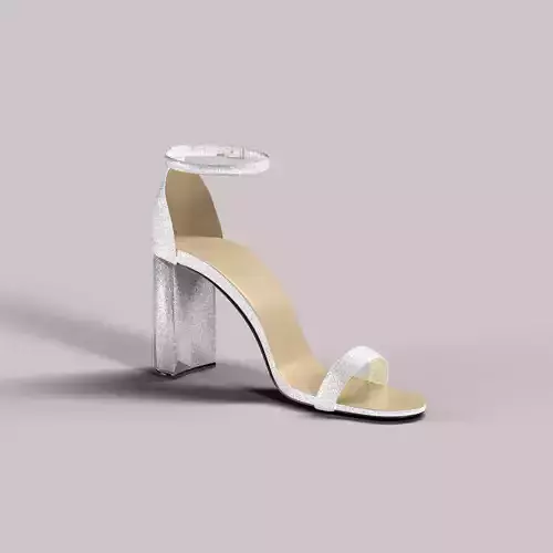 female elegant shoe- sandals